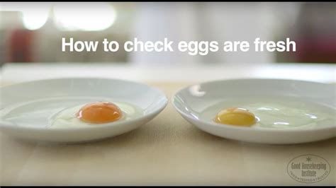 how to know if your eggs are good quality